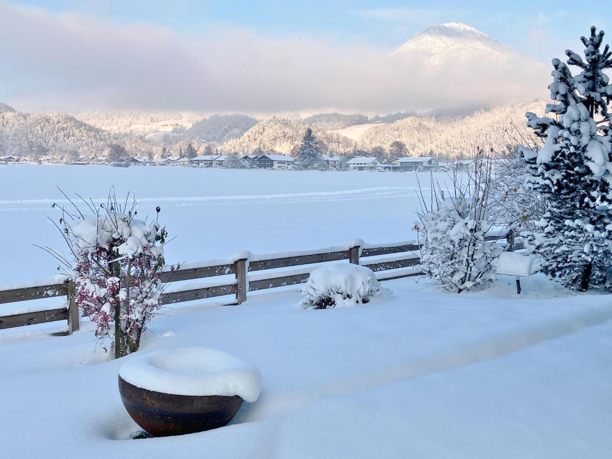 Open Garden Mountain * Oberaudorf