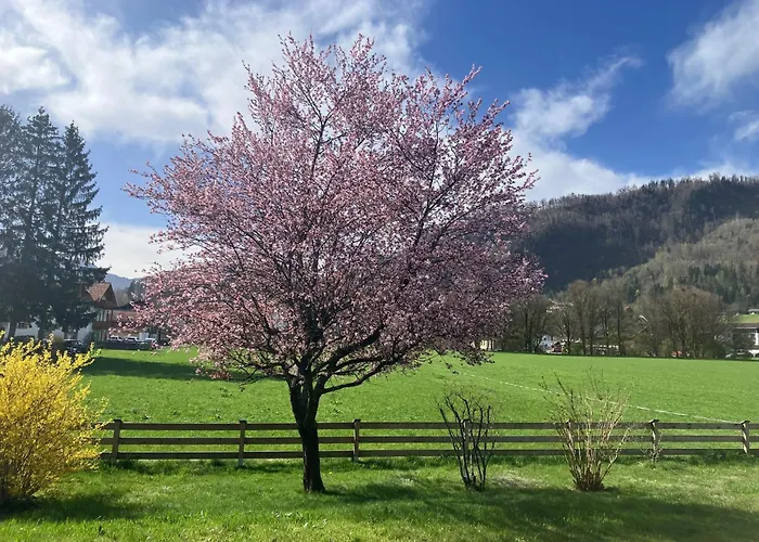 Open Garden Mountain Lodge